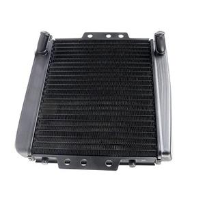 Radiator For PIAGGIO MP3 125 250 300 350 400 500CC GILERA FUOCO 500  OEM 653468 1B001908